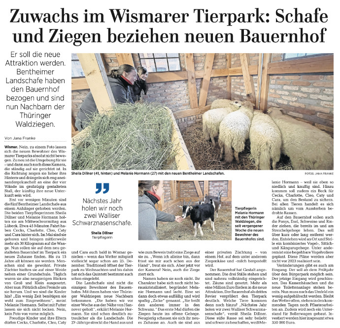 Zuwachs im Wismarer Tierpark: Schafe und Ziegen beziehen neuen Bauernhof