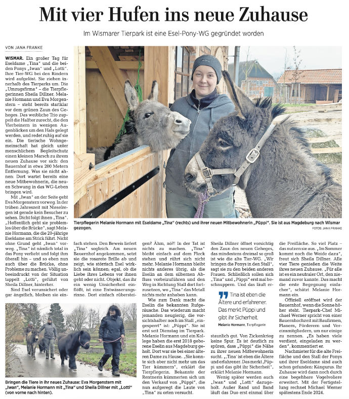 Mit vier Hufen ins neue Zuhause