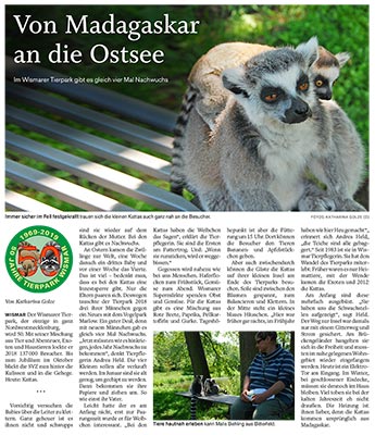 Von Madagaskar an die Ostsee