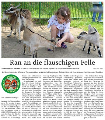 Ran an die flauschigen Felle